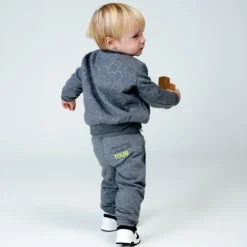 Joggers in Bold Bear Casual grey
